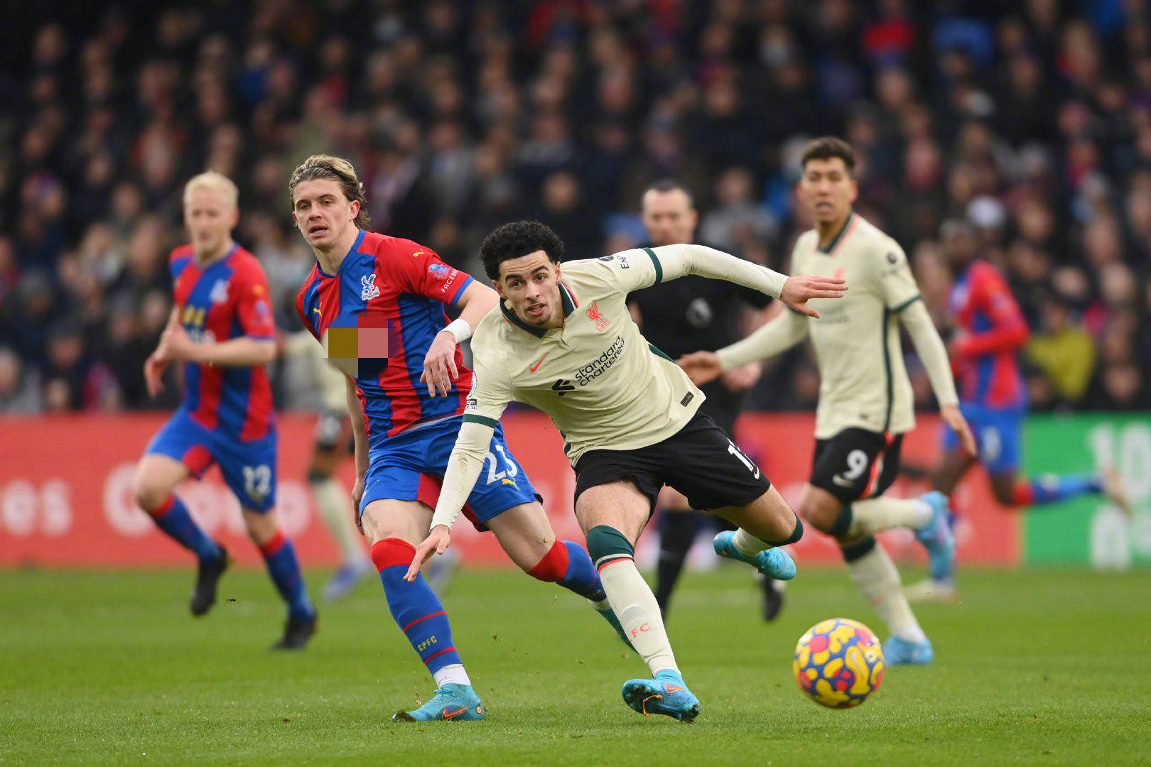 发展潜力 发展潜力